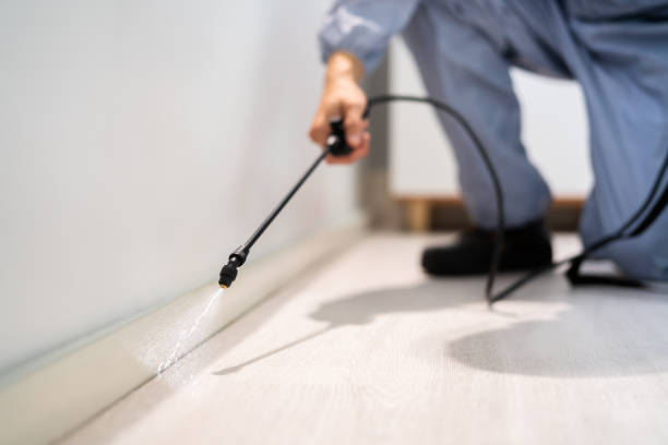 Licensed Rodent Control service in Fort Belvoir, VA - Nex Pest Control