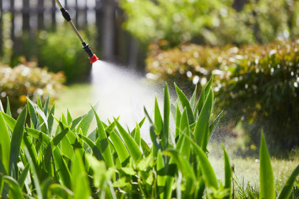 24/7 Emergency Rodent Control experts in Fort Belvoir, VA