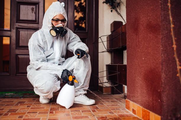 Reliable Rodent Control contractor in Fort Belvoir, VA by Nex Pest Control