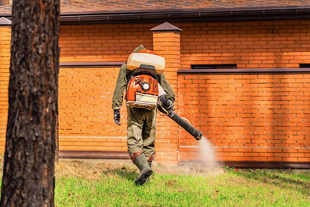 Trusted Termite Control service in Fort Belvoir, VA - Nex Pest Control